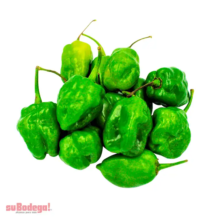 Chile Habanero kg.