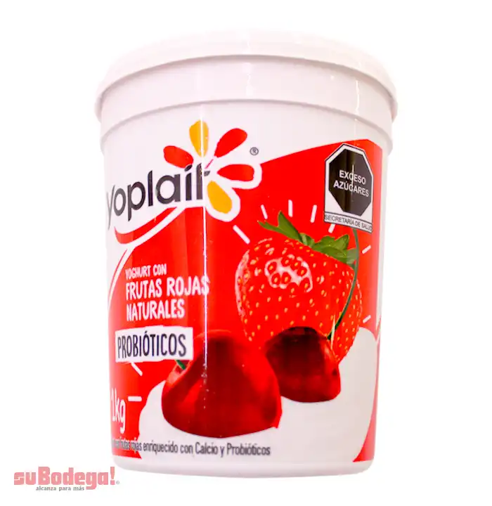 Yoghurt Yoplait Frutas Rojas 1 kg.