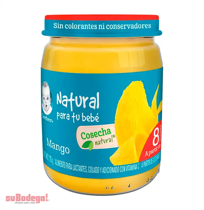 Gerber Picado Mango Etapa 3 170 Gr