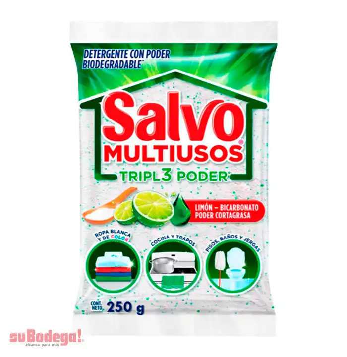 Detergente Salvo Multiusos 250 gr.