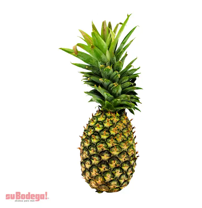 Piña Esmeralda kg.
